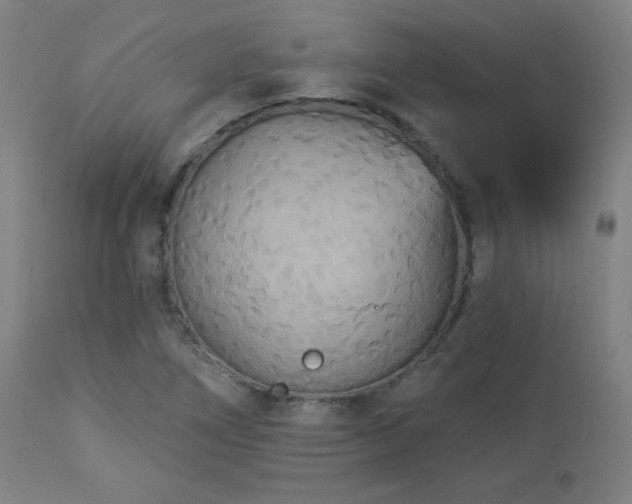 X0000112961266200908271107