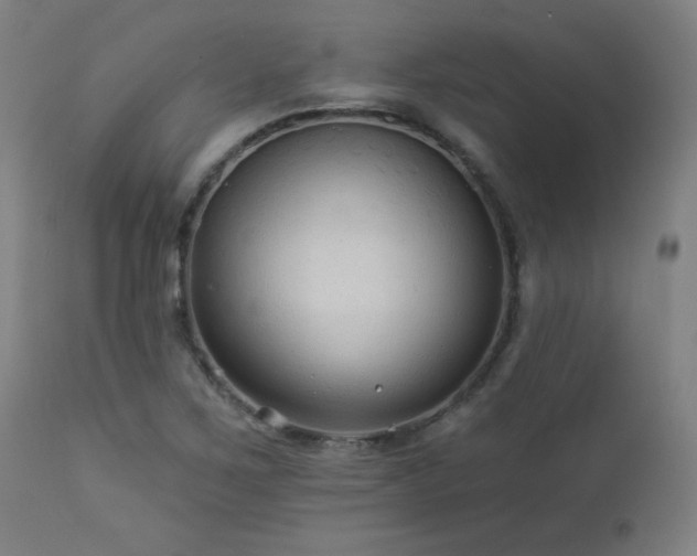 X0000112961267200908271107