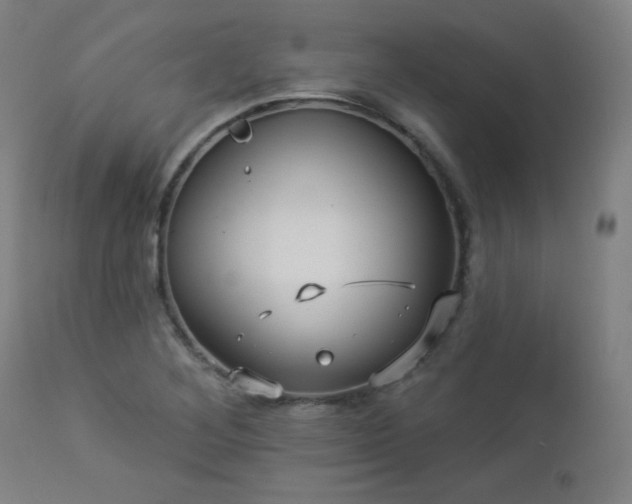 X0000112961268200908271107