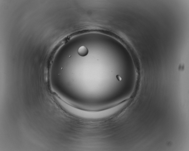 X0000112961269200908271107