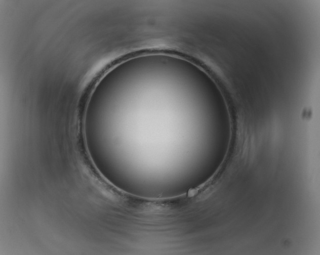 X0000112961270200908271107