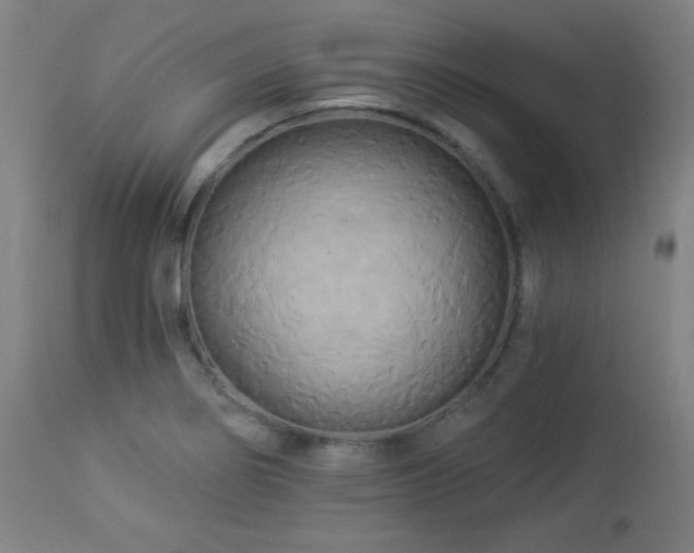 X0000112961274200908271107