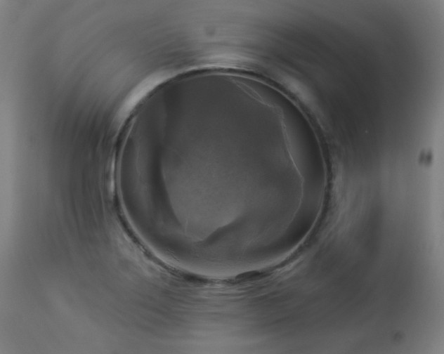 X0000112961275200908271107