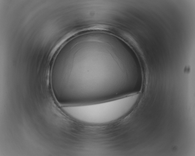 X0000112961276200908271107