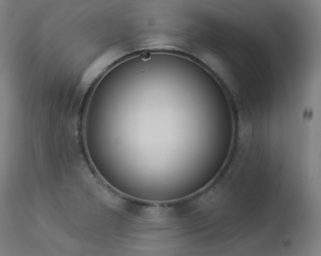 X0000112961277200908271107