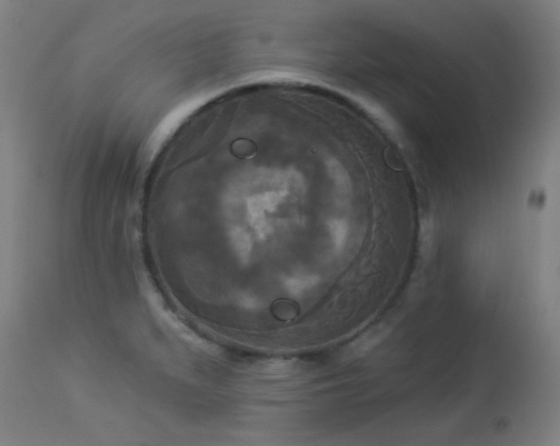 X0000112961279200908271107