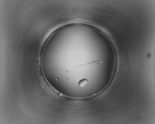 X0000112961280200908271107