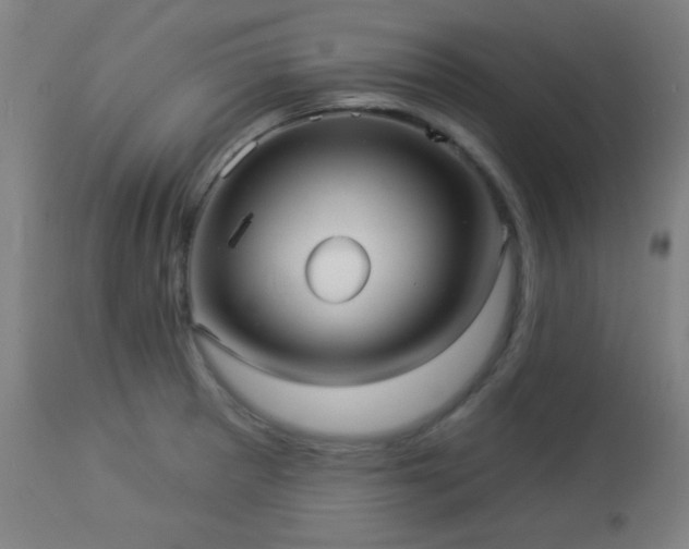 X0000112961281200908271107