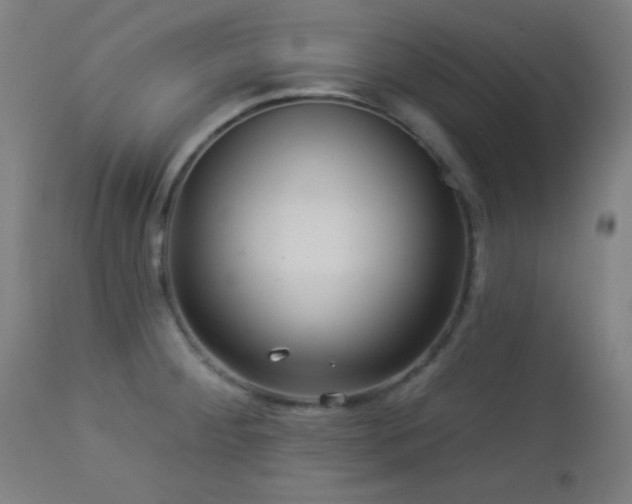 X0000112961284200908271107