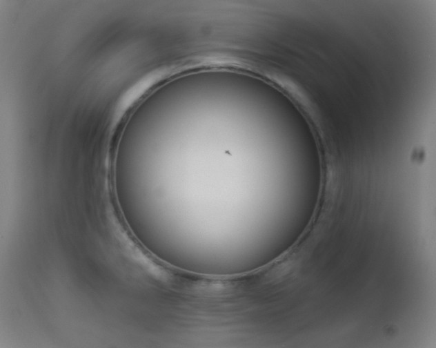 X0000112961286200908271107