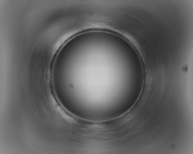 X0000112961287200908271107