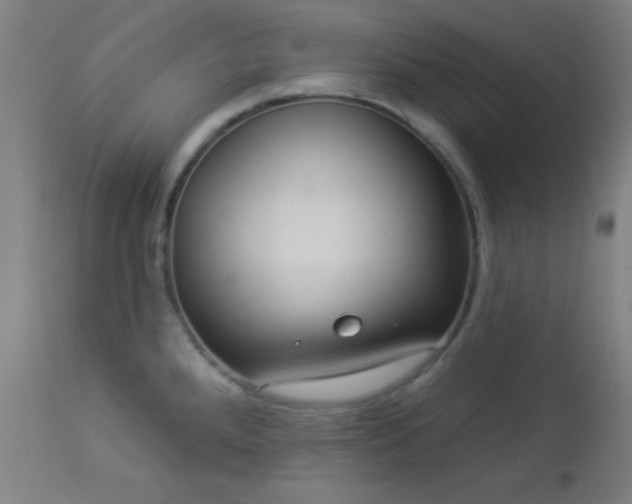 X0000112961288200908271107