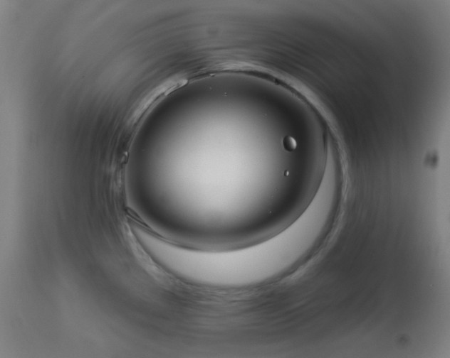 X0000112961289200908271107