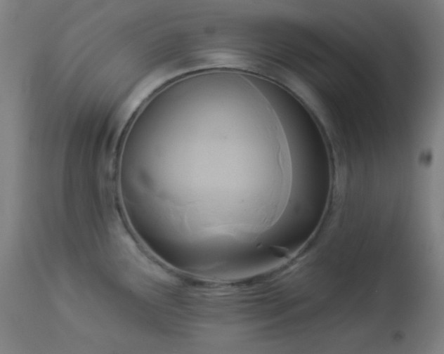 X0000112961291200908271107