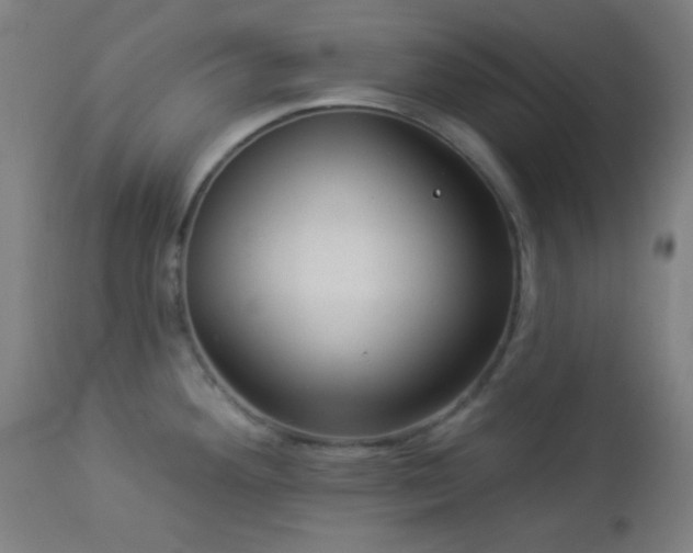 X0000112961292200908271107