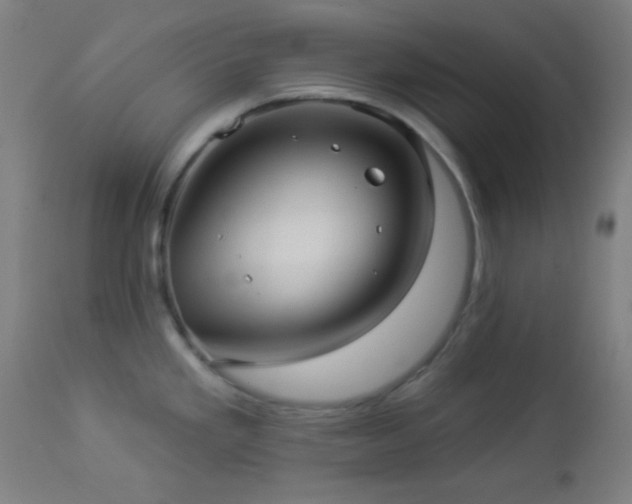 X0000112961293200908271107