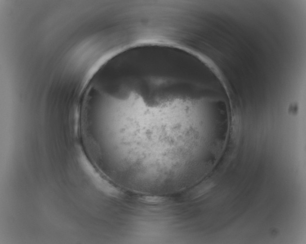 X0000112961295200908271107