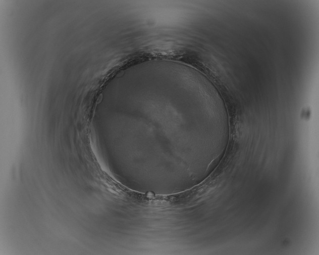 X0000112961297200908271106