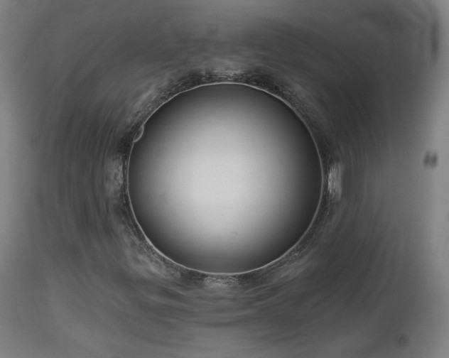 X0000112961299200908271106