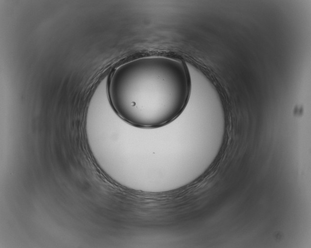 X0000112961300200908271106