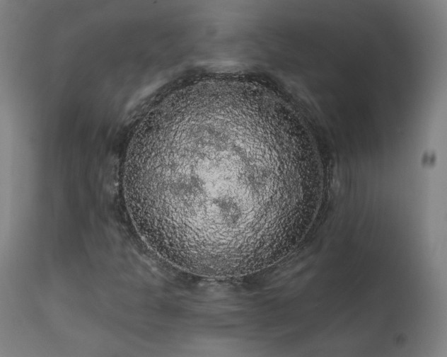 X0000112961301200908271106