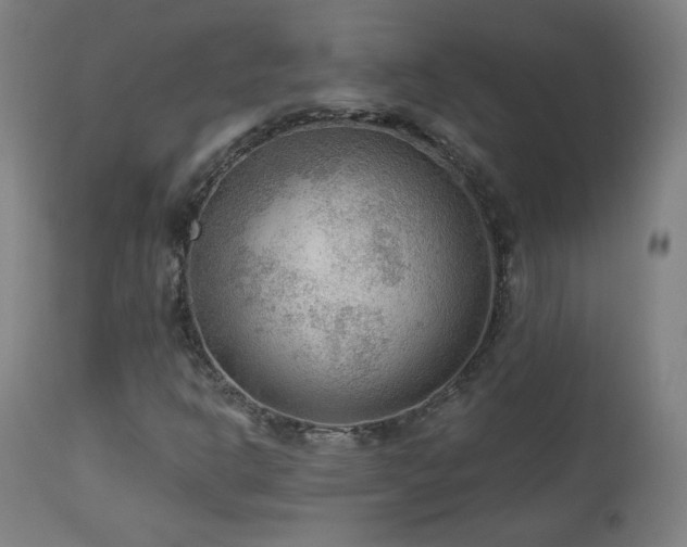 X0000112961302200908271106