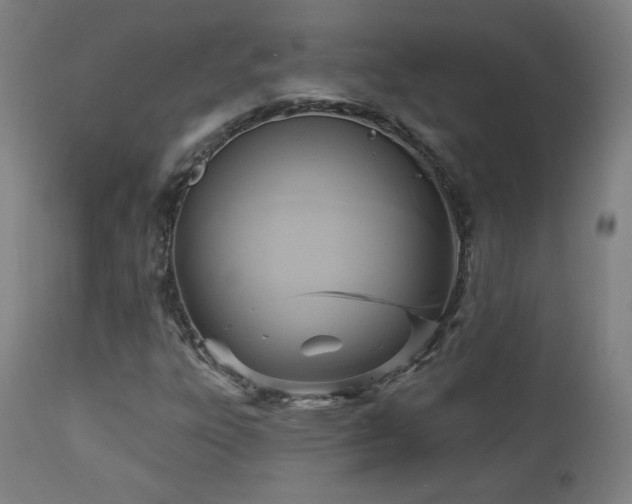 X0000112961303200908271106