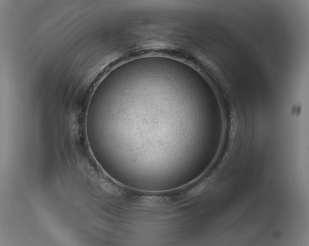 X0000112961305200908271106