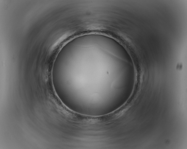 X0000112961306200908271106