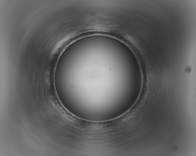 X0000112961307200908271106