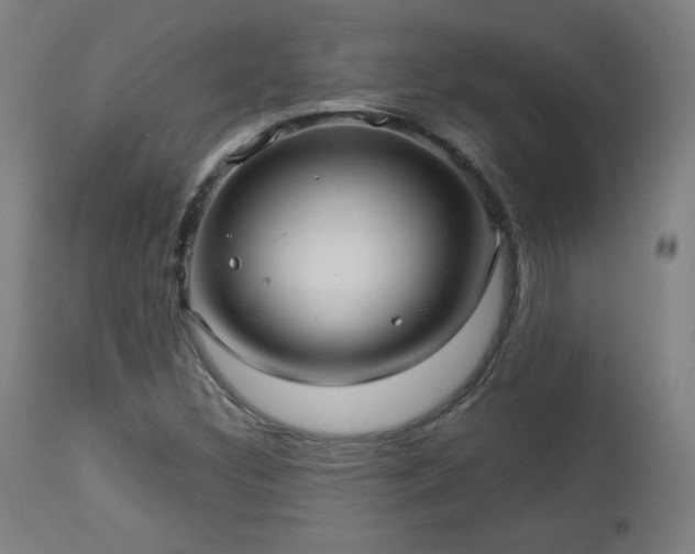 X0000112961308200908271106