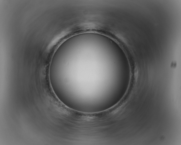 X0000112961309200908271106