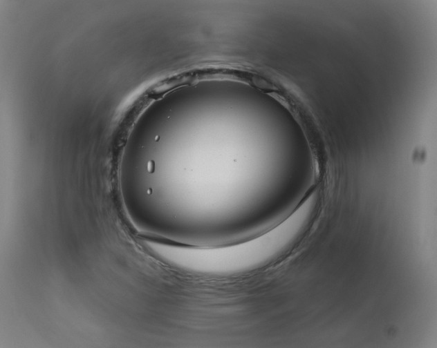 X0000112961310200908271106