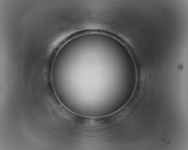 X0000112961311200908271106