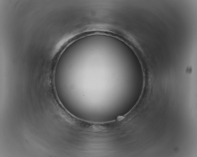 X0000112961312200908271106