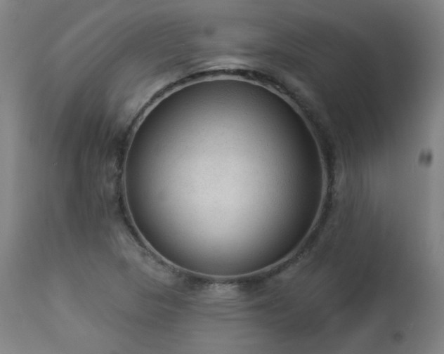 X0000112961313200908271106