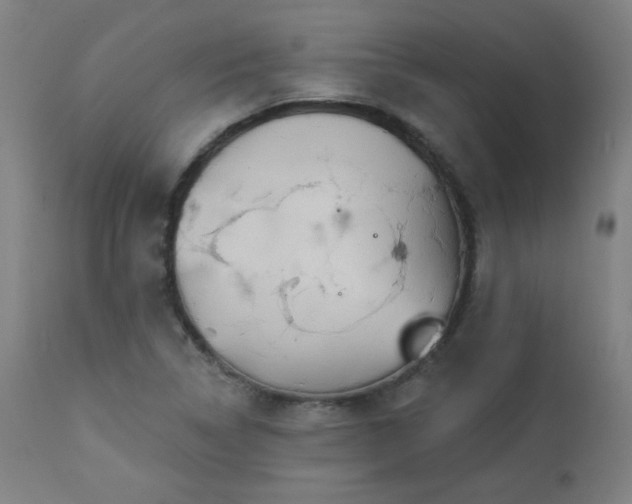 X0000112961314200908271106