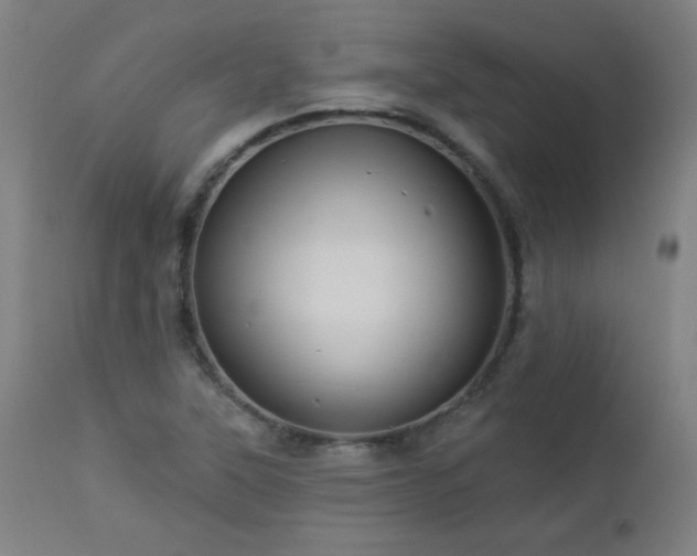 X0000112961315200908271106