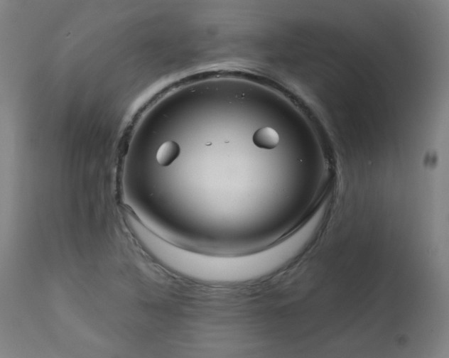 X0000112961316200908271106