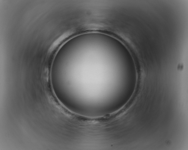 X0000112961317200908271107