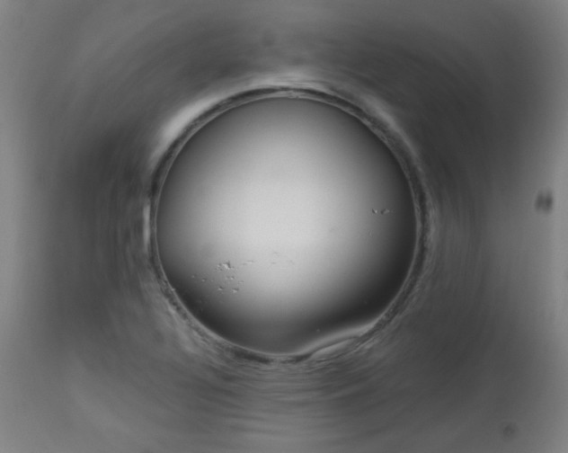 X0000112961320200908271107