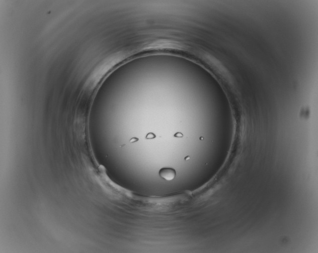 X0000112961321200908271107