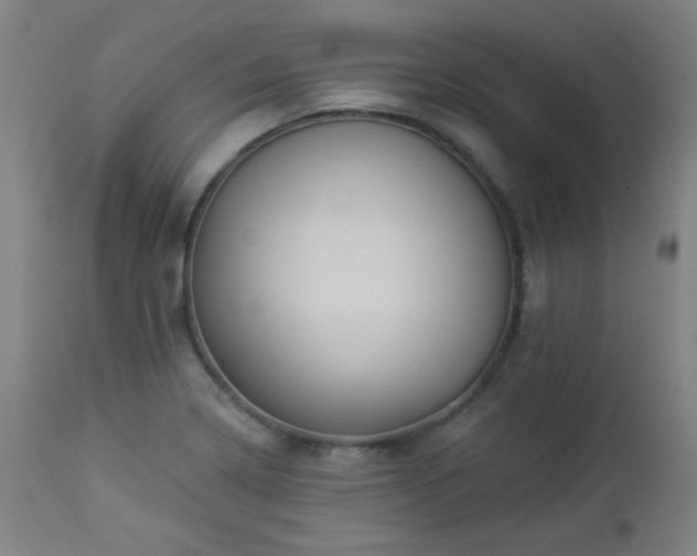 X0000112961322200908271107