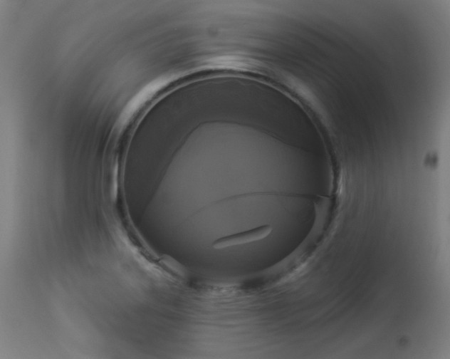 X0000112961323200908271107