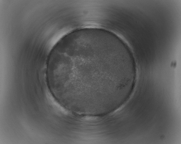 X0000112961325200908271107