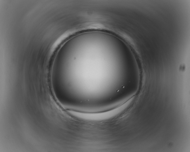 X0000112961326200908271107