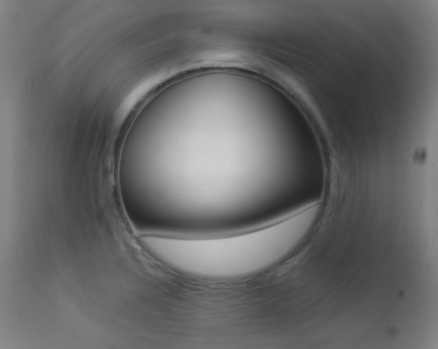 X0000112961328200908271107