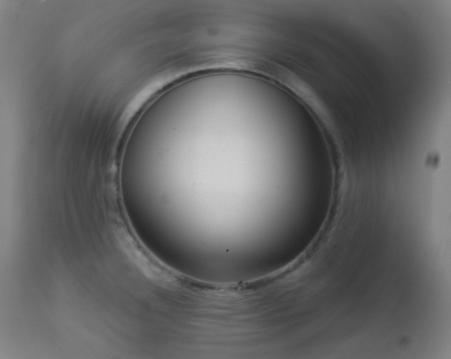 X0000112961332200908271107