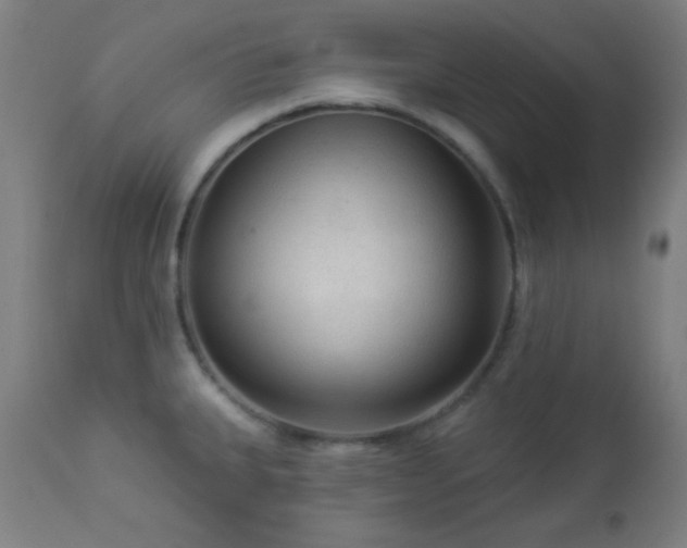 X0000112961335200908271107