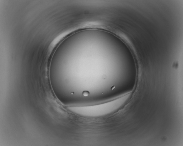 X0000112961336200908271107